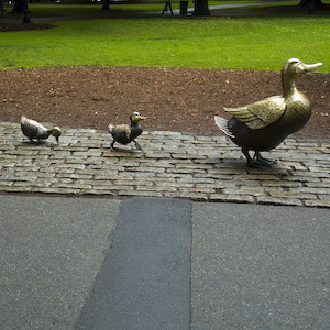 42-BAC 1X1-Make Way for Ducklings